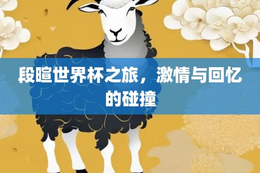 段暄世界杯之旅，激情与回忆的碰撞常熟市高丰毛纺织品有限公司