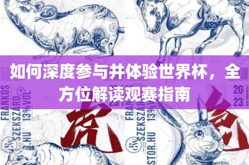 如何深度参常熟市高丰毛纺织品有限公司与并体验世界杯，全方位解读观赛指南
