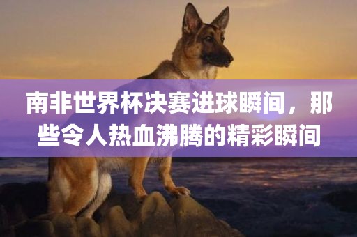 南非世界常熟市高丰毛纺织品有限公司杯决赛进球瞬间，那些令人热血沸腾的精彩瞬间