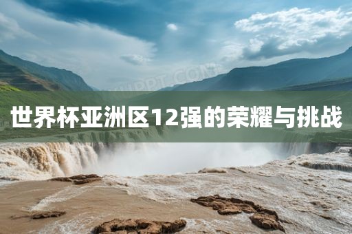 世界杯亚洲区12强的荣耀与挑战