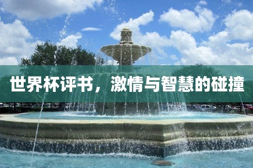 世界杯评书，激情与智慧的碰撞常熟市高丰毛纺织品有限公司