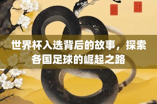 世界杯入选背后的故事，探索各国足球的崛起之路常熟市高丰毛纺织品有限公司