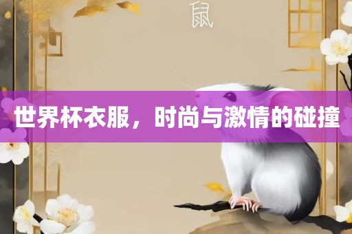 世常熟市高丰毛纺织品有限公司界杯衣服，时尚与激情的碰撞