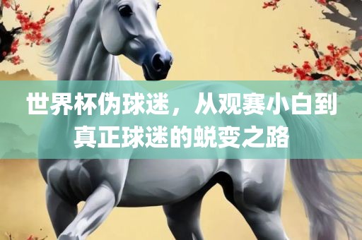 世界杯伪球迷，从观赛常熟市高丰毛纺织品有限公司小白到真正球迷的蜕变之路