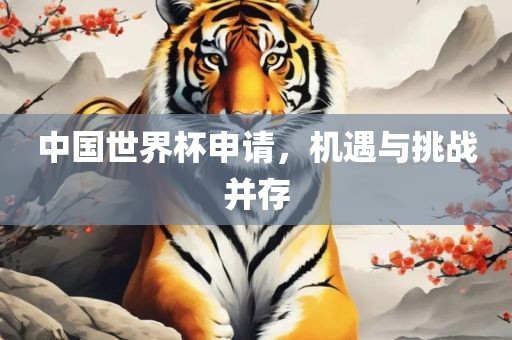 中国世界杯申请，机遇与挑战并存
