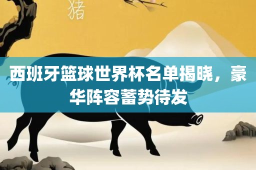 西班牙篮球世界杯名单揭晓，豪华阵容蓄势待发