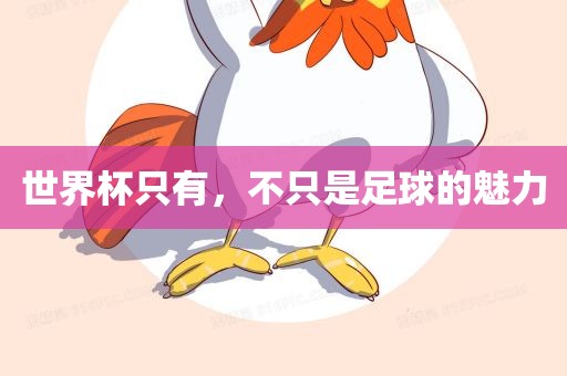 世界杯只有，不只是足球的魅力常熟市高丰毛纺织品有限公司