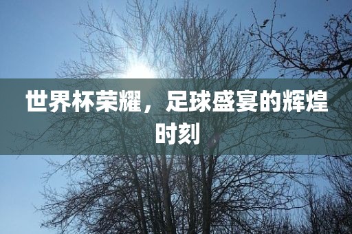 世界杯荣耀，足球盛宴的辉煌时刻