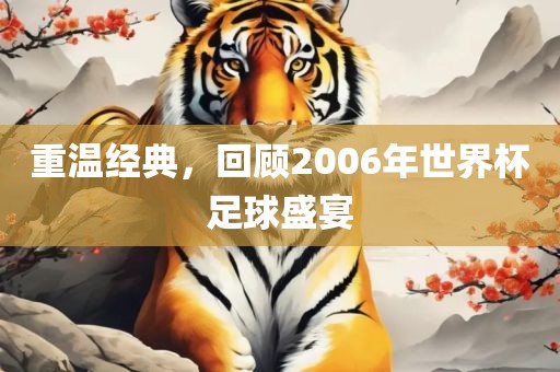 重温经典，回顾2006年世界杯足球盛宴常熟市高丰毛纺织品有限公司