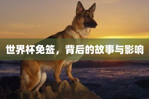 世界杯免签，背后的故事与影响