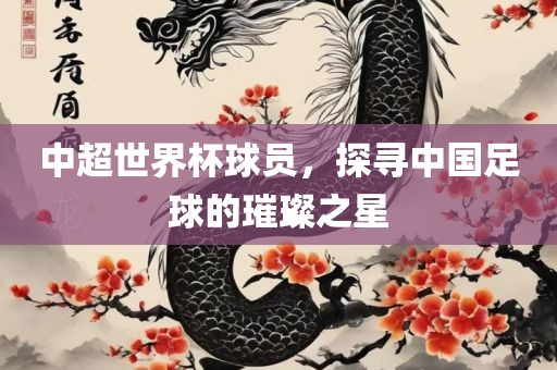 huangqianqian 第2页