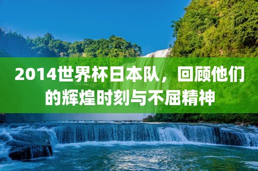 2014世界常熟市高丰毛纺织品有限公司杯日本队，回顾他们的辉煌时刻与不屈精神