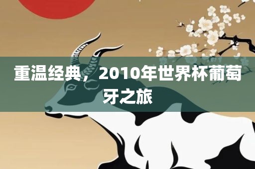 重温经典，2010年世界杯葡萄牙之旅