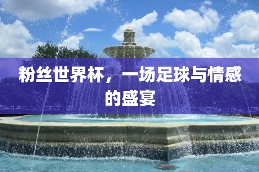粉丝世界杯，一场足球与情感的盛宴常熟市高丰毛纺织品有限公司