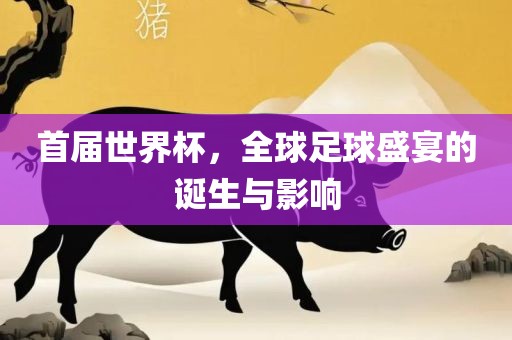 首届世界杯，全球足球盛宴的诞生与影响常熟市高丰毛纺织品有限公司