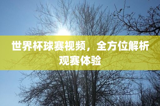 世界杯球赛视频，全方位常熟市高丰毛纺织品有限公司解析观赛体验
