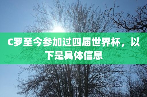 C罗至今参加过四届世界杯，以下是具体信息