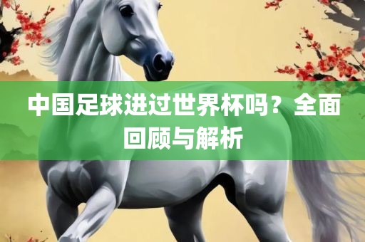 中国足球进过世界杯吗？全面回顾与解析