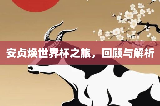 安贞焕世界杯之旅，回顾与解析