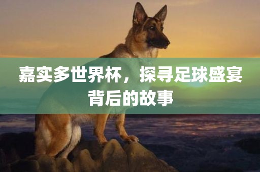 嘉实多世界杯，探寻足球盛宴背后的故事常熟市高丰毛纺织品有限公司