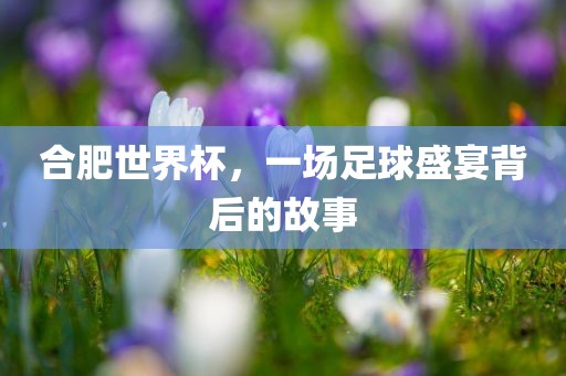 合肥世界杯，一场足球盛宴背后的故事常熟市高丰毛纺织品有限公司