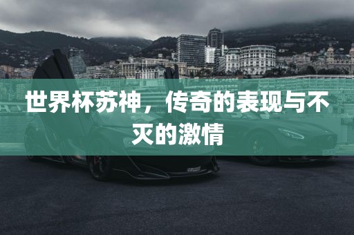 世界杯苏神，传奇的表现与不灭的激情常熟市高丰毛纺织品有限公司