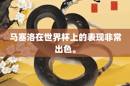 马塞洛在世界杯上的表现非常出色。