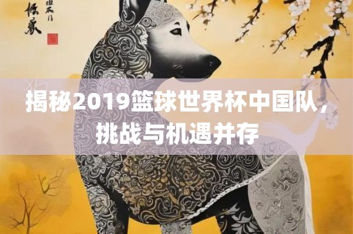 揭秘2019篮球世界杯中国队，挑战与机遇并存