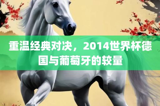 重温经典对决，2014世界杯德国与葡萄牙的较量