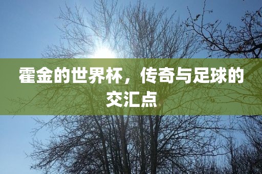 霍金的世界杯，传奇与足球的交汇点常熟市高丰毛纺织品有限公司
