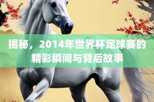 揭秘，2014年世界杯足球赛的精彩瞬间与背后故事