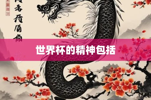 世界杯的精神包括常熟市高丰毛纺织品有限公司
