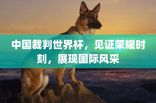 中国裁判世界杯，见证荣耀时刻，展现国际风采常熟市高丰毛纺织品有限公司