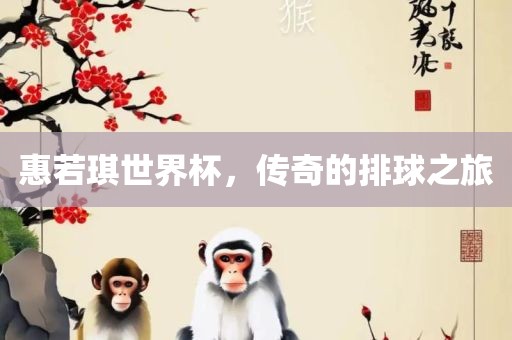 惠若琪世界杯，传奇的排球之旅常熟市高丰毛纺织品有限公司
