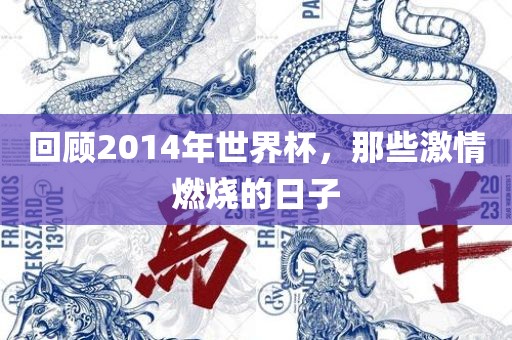 回顾2014年世界杯，那些激情燃烧的日子