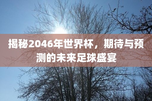 揭秘2046年世界杯常熟市高丰毛纺织品有限公司，期待与预测的未来足球盛宴