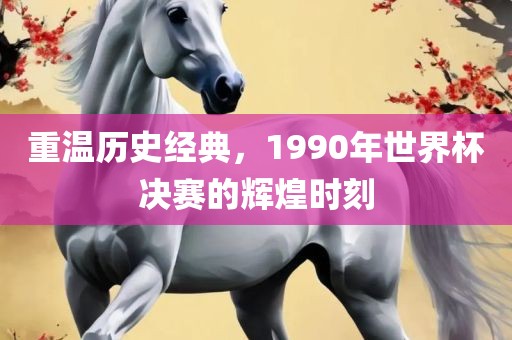 重温历史经典，1990年世界杯决赛的辉煌时刻常熟市高丰毛纺织品有限公司