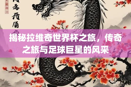 揭秘拉维奇世界杯之旅，传奇之旅常熟市高丰毛纺织品有限公司与足球巨星的风采