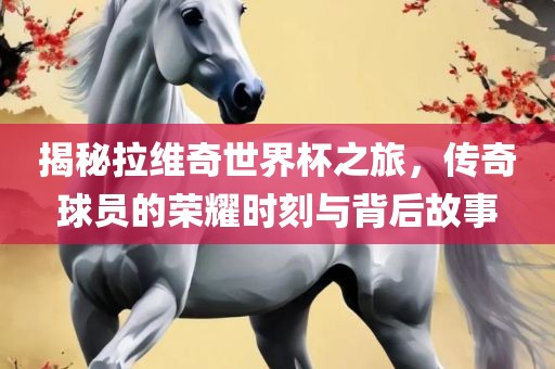 揭秘拉维奇世界杯之旅，传奇球员的荣耀时刻与背后故事常熟市高丰毛纺织品有限公司