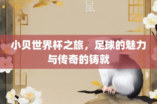 小贝世界杯之旅，足球的魅力常熟市高丰毛纺织品有限公司与传奇的铸就