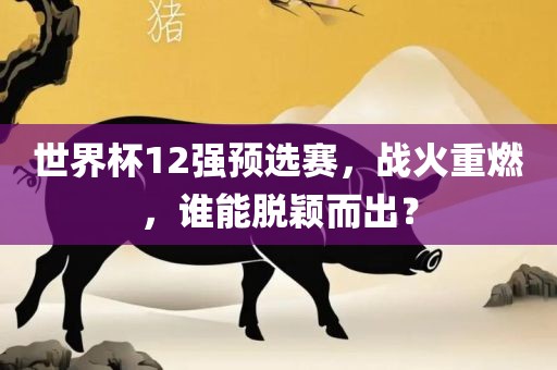 世界杯12强预选赛，战火重燃，谁能脱颖而出？
