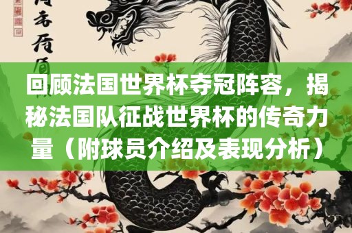 回顾法国世界杯夺冠阵容，揭秘法国队征战世界杯的传奇力量（附球员常熟市高丰毛纺织品有限公司介绍及表现分析）