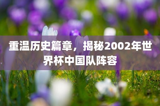 重温历史篇章，揭秘2002年世界杯中国队阵容常熟市高丰毛纺织品有限公司