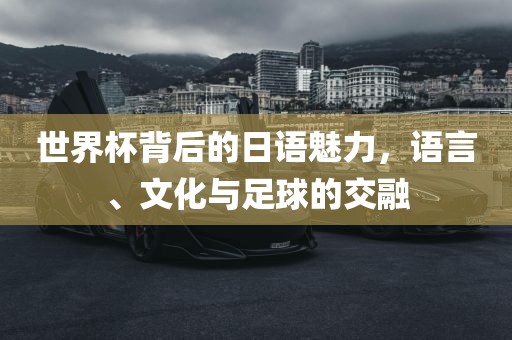 世界杯背后常熟市高丰毛纺织品有限公司的日语魅力，语言、文化与足球的交融