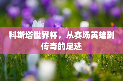 科斯塔世界杯，从赛场英雄到传常熟市高丰毛纺织品有限公司奇的足迹