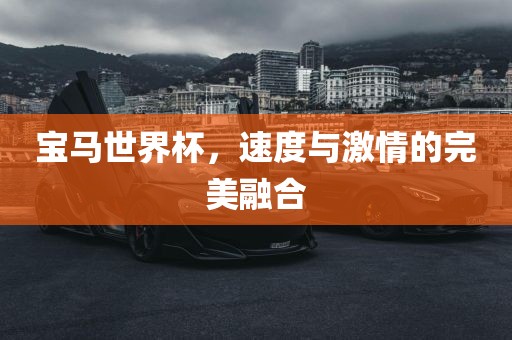 宝马世界杯，速度与激情的完美融合