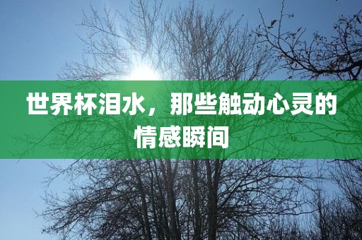 世界杯泪水，那些触动心灵的情感瞬间常熟市高丰毛纺织品有限公司