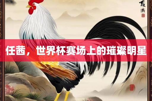 任茜，世界杯赛场上的璀璨明星常熟市高丰毛纺织品有限公司