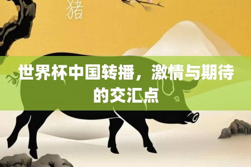 世界杯中国转播，激情与期待的交汇点