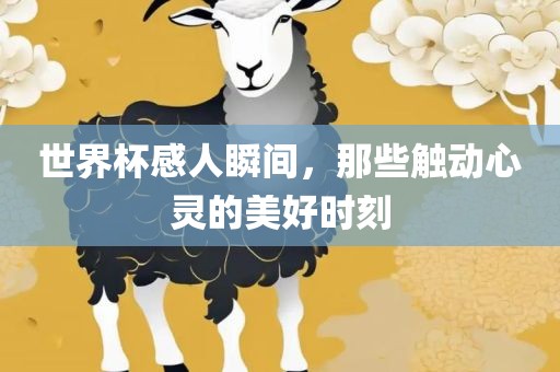 世界杯感人瞬间，那些触动心灵的美好时刻常熟市高丰毛纺织品有限公司